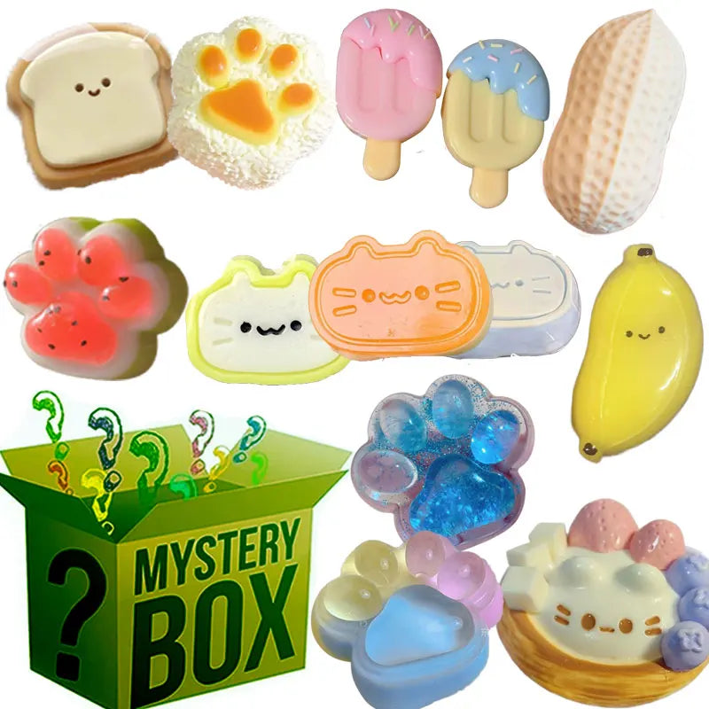 Mystery Fidget Toy